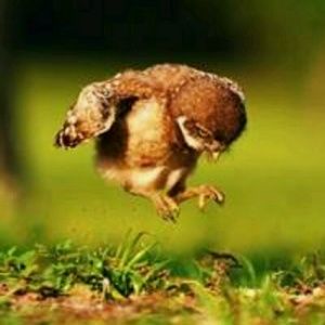 Meet your Posher, Doria